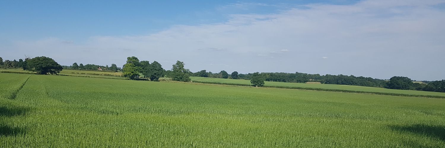NasDube's profile banner image