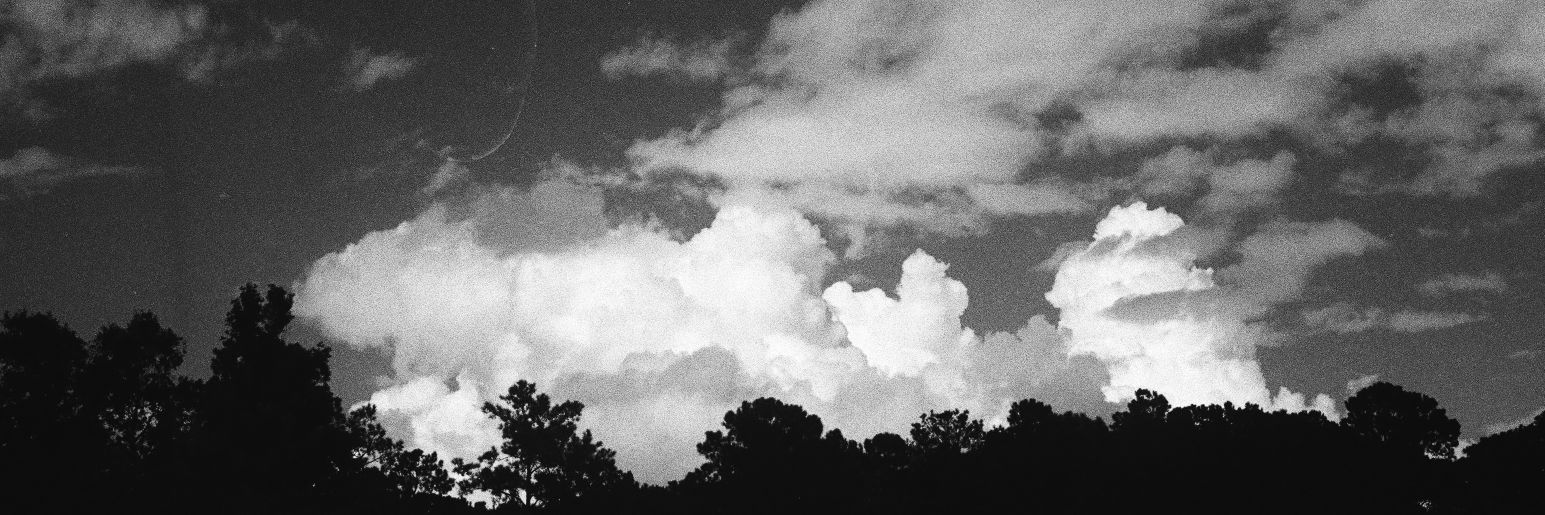 animatedwill's profile banner image