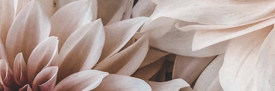 MissBoHoMix's profile banner image
