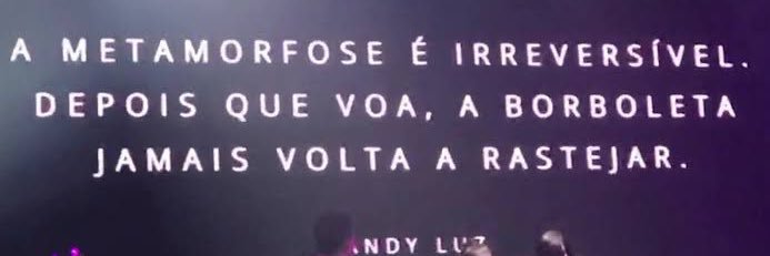 bbeatrizabreu's profile banner image