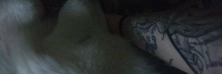 MyRastaShady's profile banner image