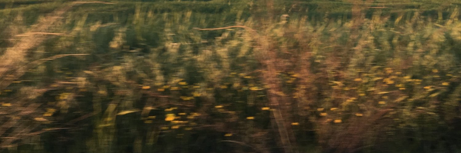 AlexanderGeor99's profile banner image