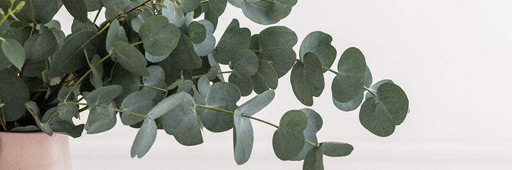 marysadear's profile banner image