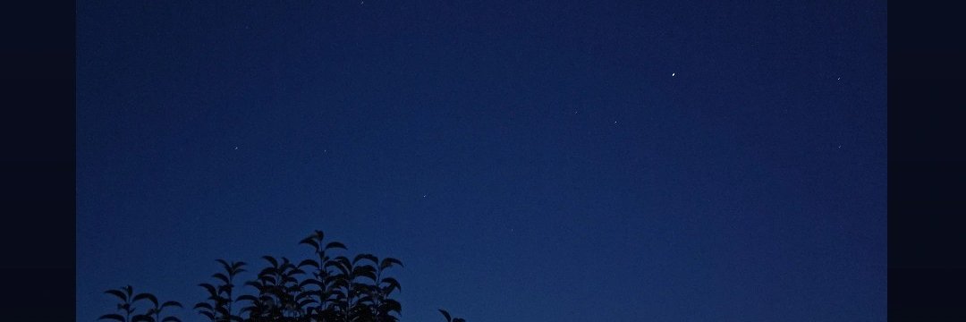 caradariel's profile banner image