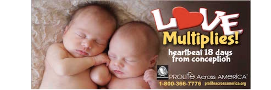ProlifeAcrossAm's profile banner image