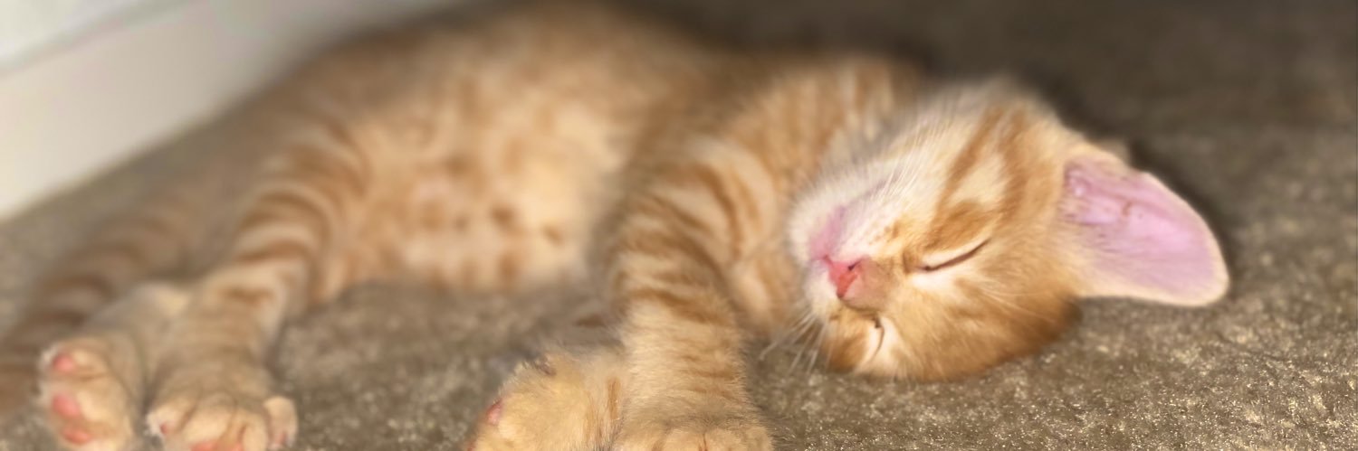 kevintejedaa's profile banner image