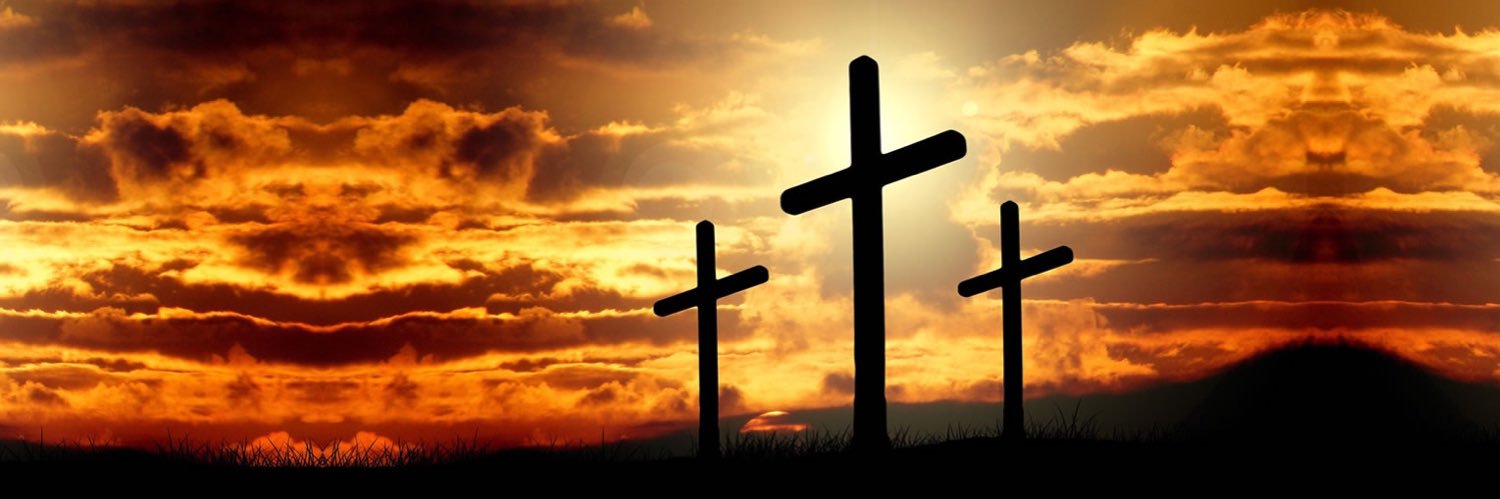 Aidan Clements banner