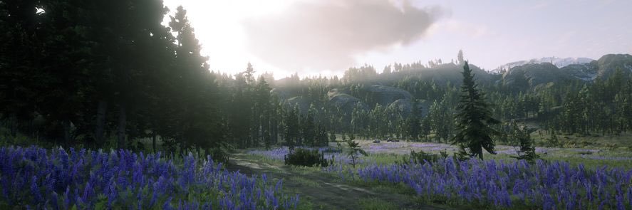 hoffmankira_'s profile banner image