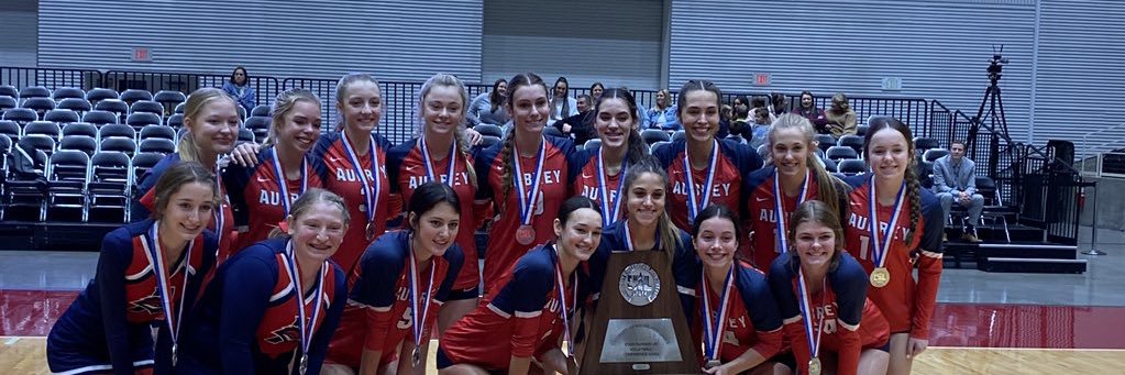 Aubrey Volleyball 🏐 banner