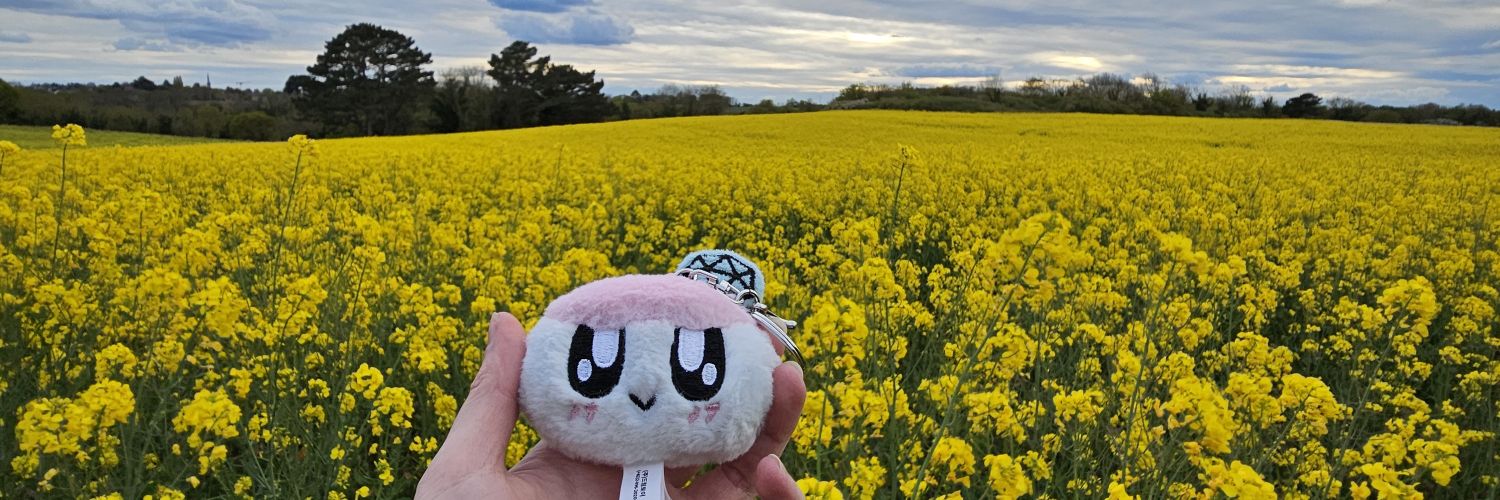 MomoWalker11's profile banner image