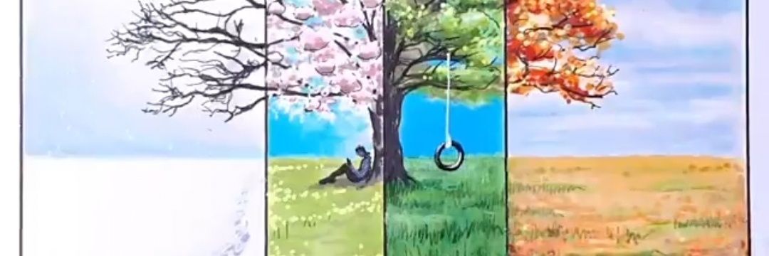 MaiconXcel's profile banner image