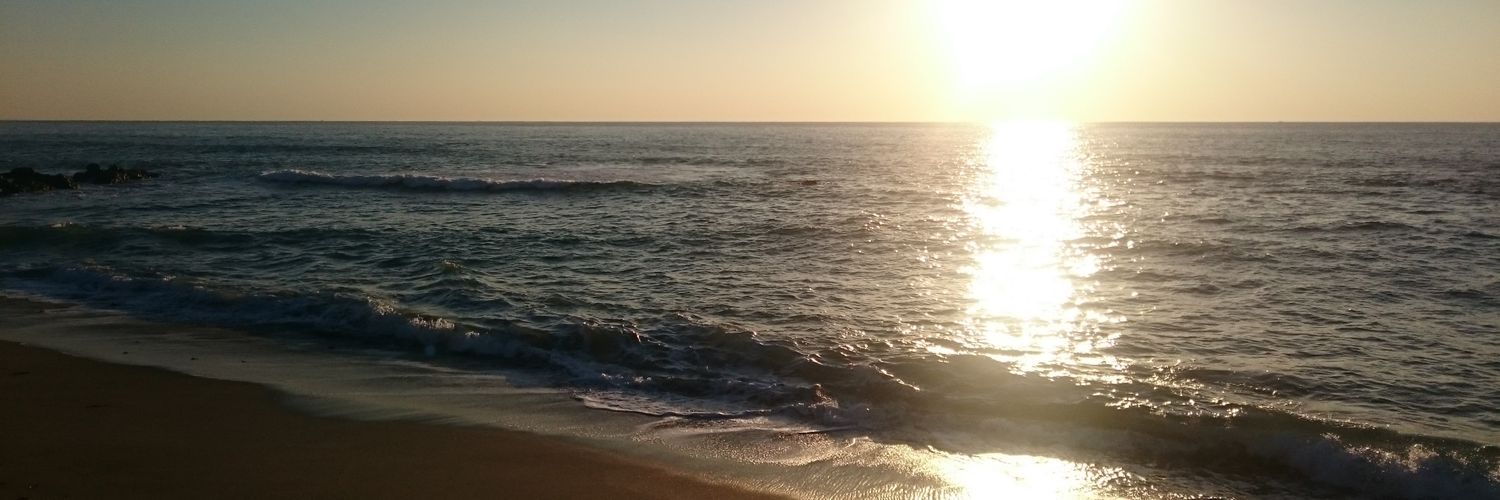 amimayu's profile banner image