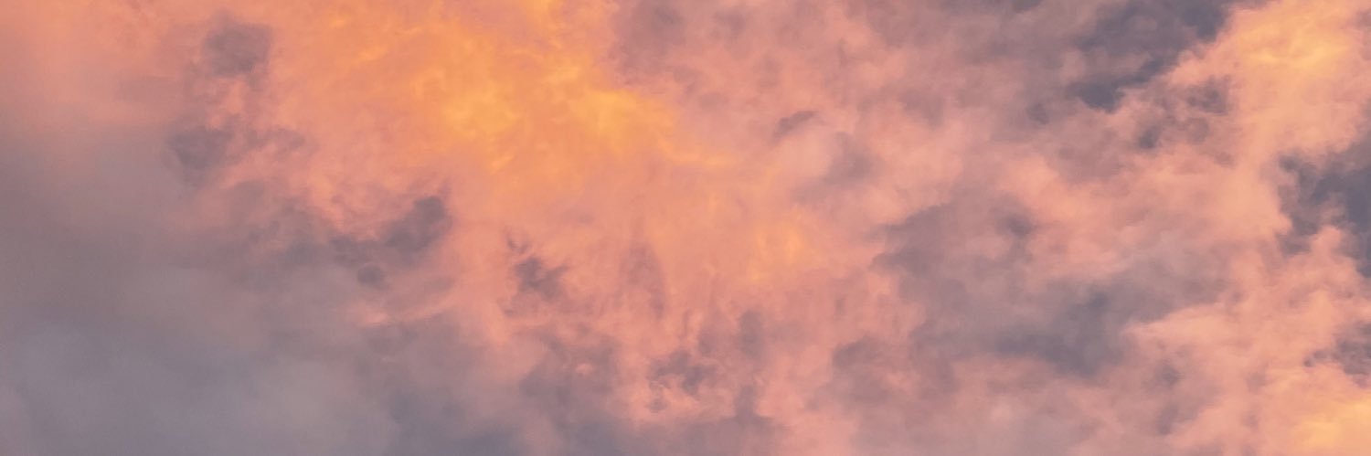LaDeLasPecasYBrillitos banner