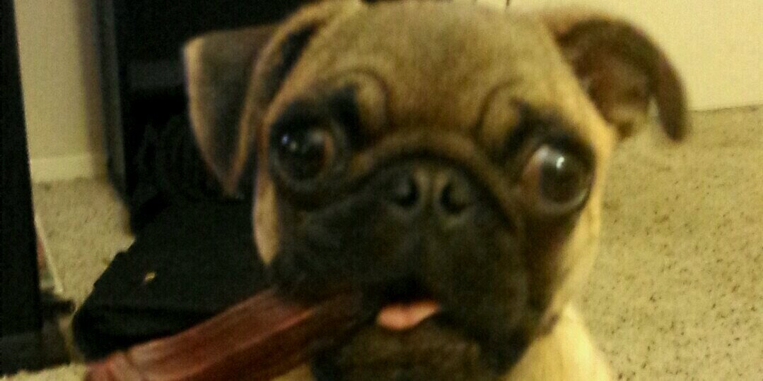 Stephen Henry banner