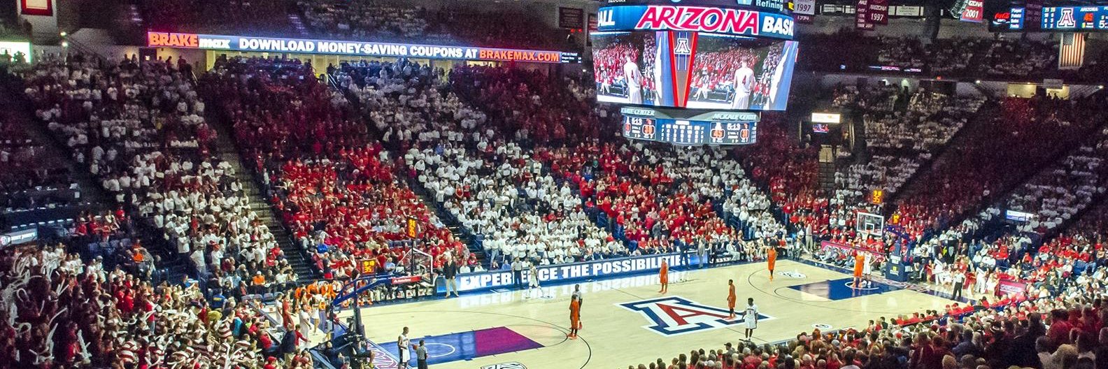 UofA Hoops Fan banner