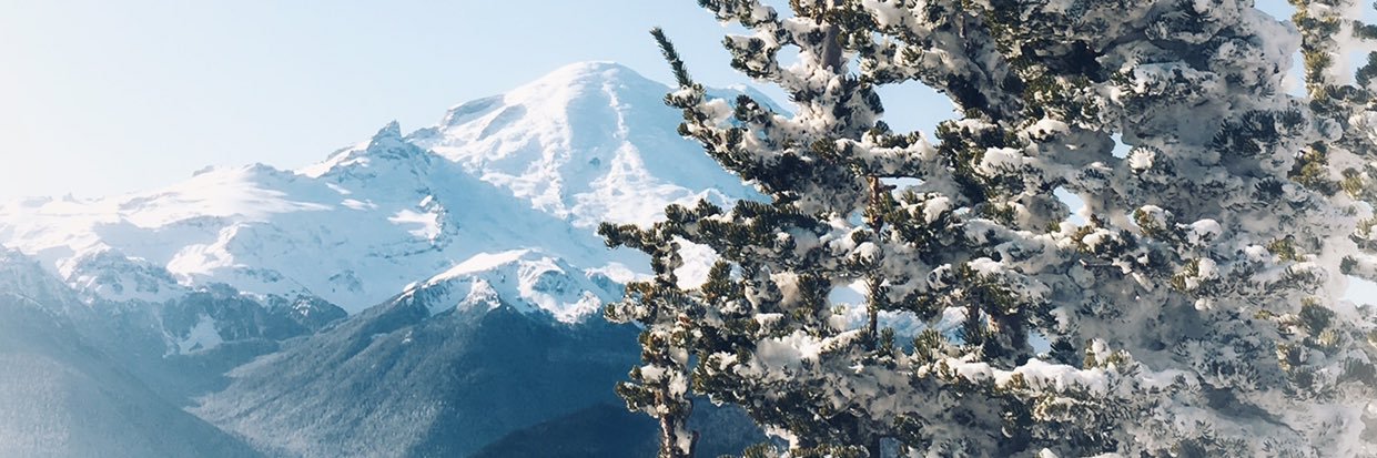 ameckle's profile banner image