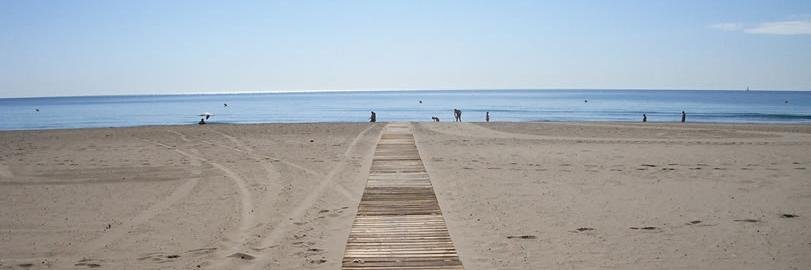 felipe ruiz moreno banner