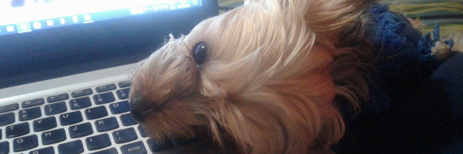 Profesor Avilés #CierrenPorFuera 🎧🎼🎹✈⛴🚢🏖🏝 banner