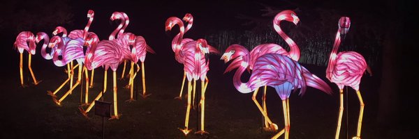 anavrera Profile Banner