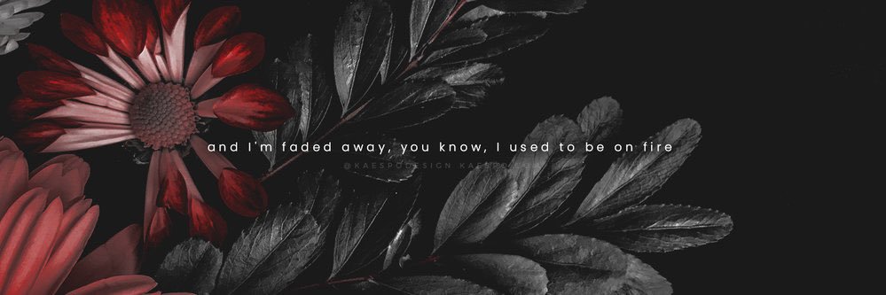 peterorlet's profile banner image