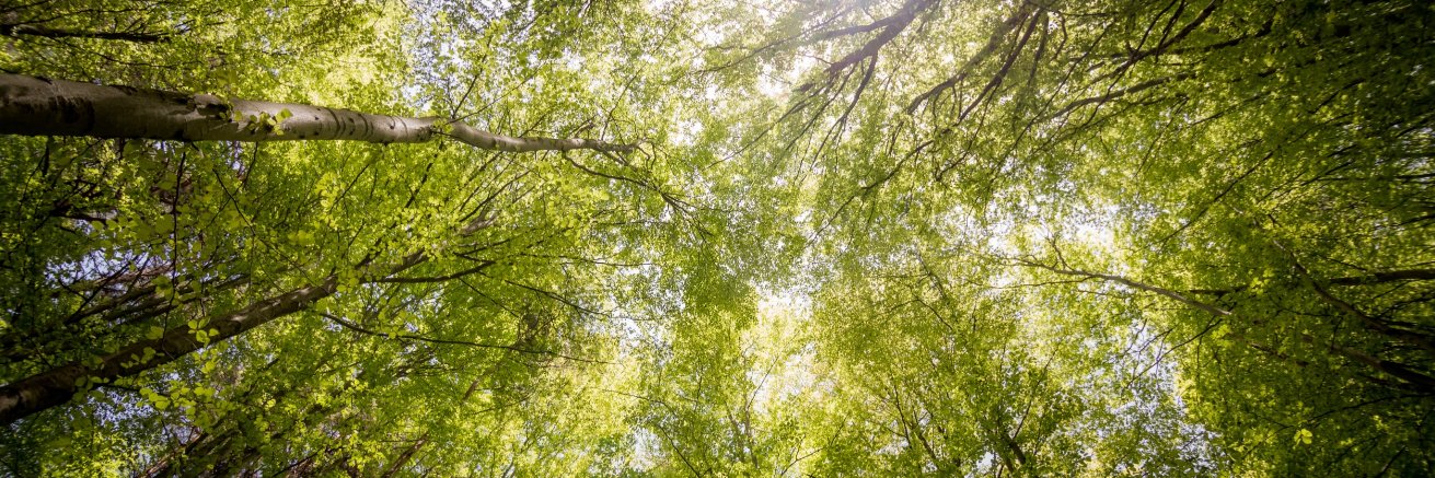 PDXTechWriter banner