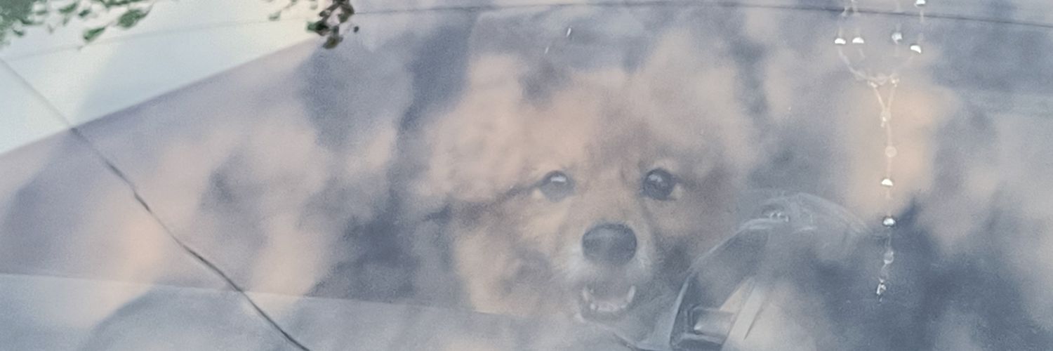 ChuyAlavez's profile banner image
