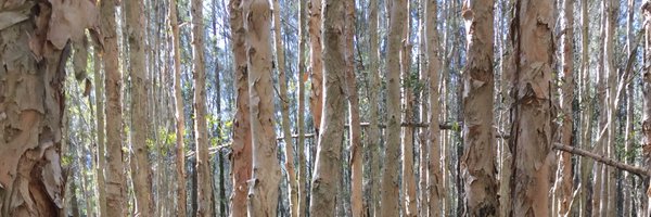 FarquharsonKate Profile Banner