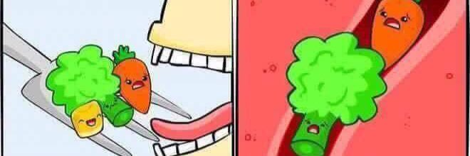 lagringa_sa's profile banner image