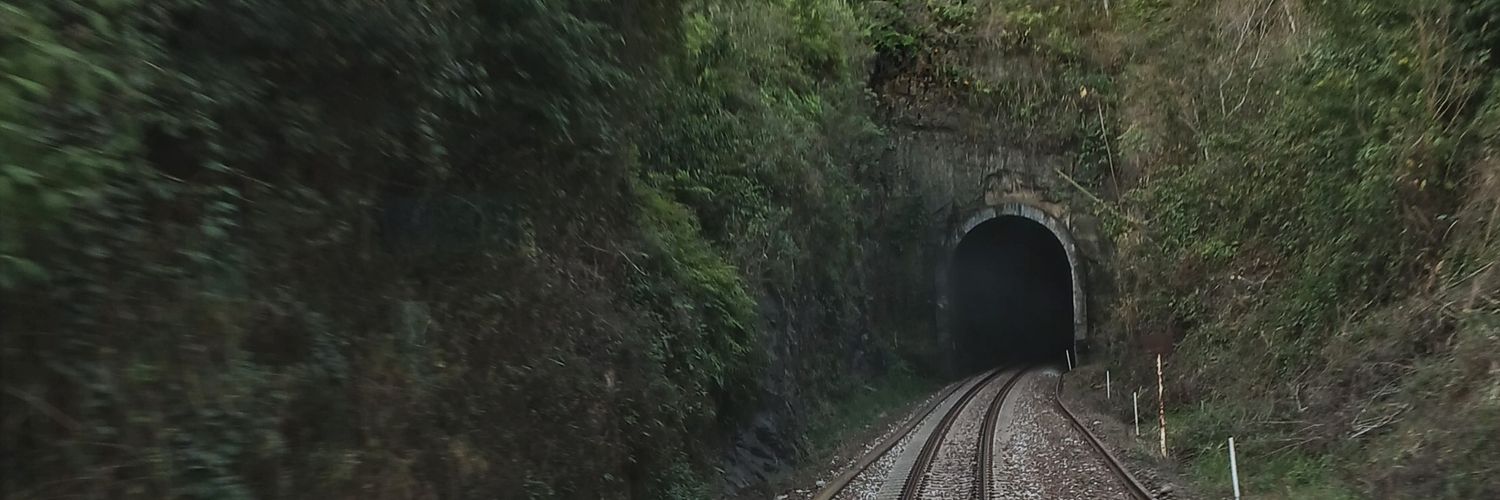 weshsf's profile banner image