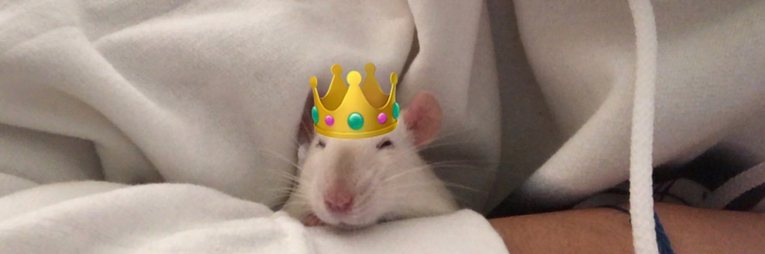 Manipulator4L's profile banner image