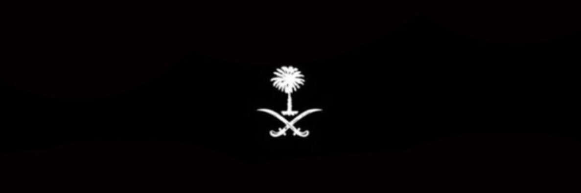 Shadenamm9's profile banner image