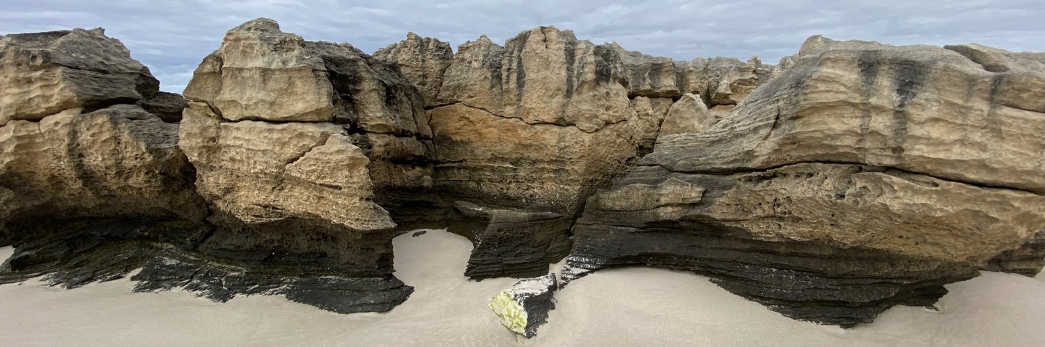 Lee Schneider banner