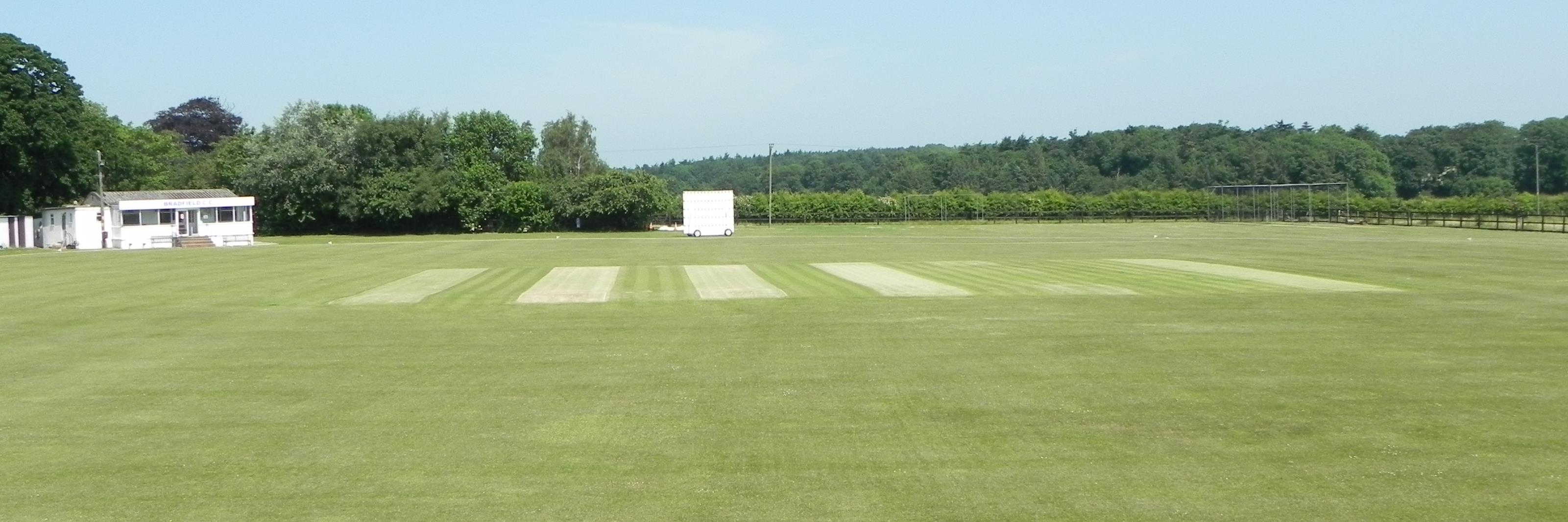 WillyCricket's profile banner image
