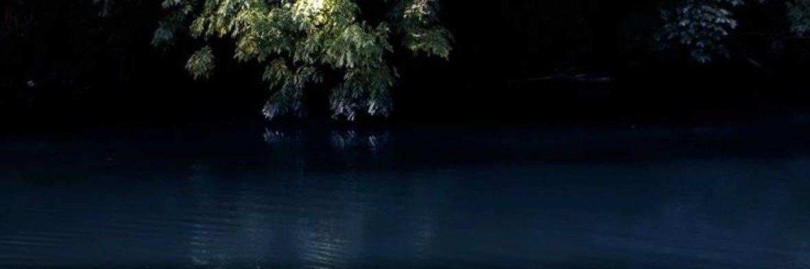 dincill0's profile banner image