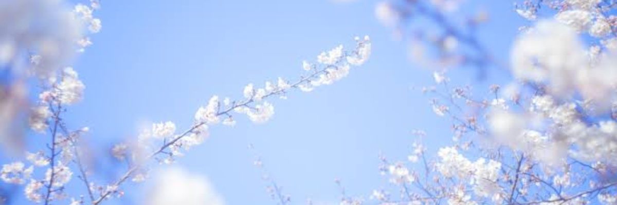 たらも banner