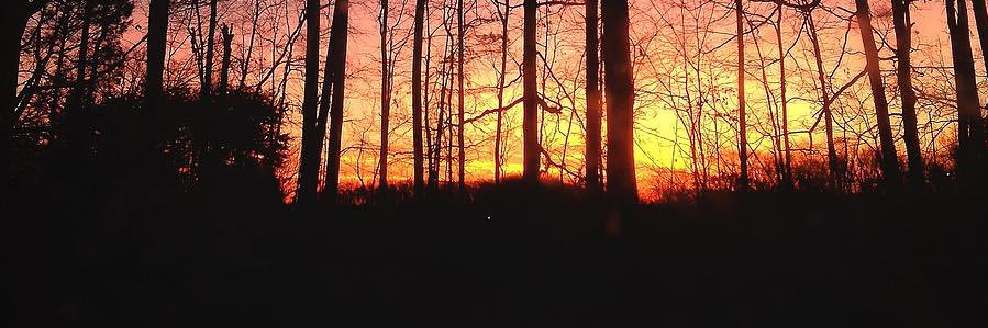 brentwheat9's profile banner image