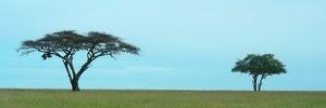 gemroy's profile banner image