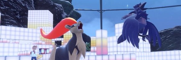 LinkStain Profile Banner