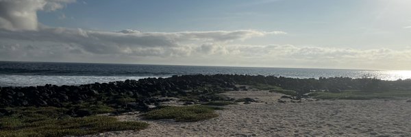 alisdaniela Profile Banner