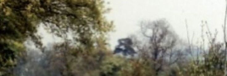 freddallalong's profile banner image