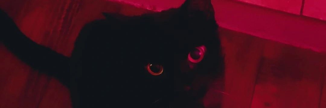hauntus_'s profile banner image