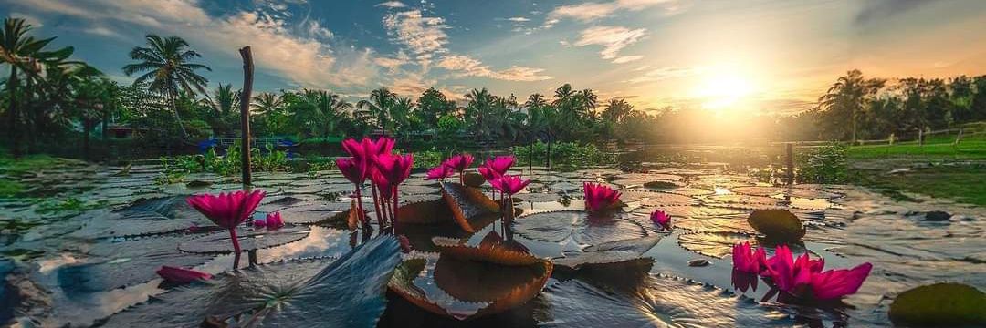 💥Avinash💥 banner