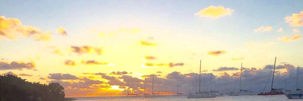 Juliamaarca's profile banner image