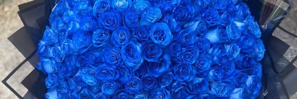 DanaTwin08 Profile Banner