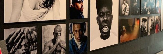 Siegfried ☹ banner