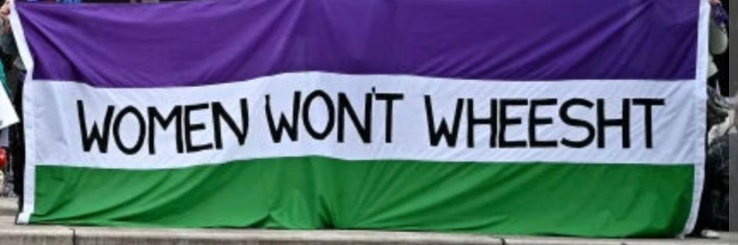 integritatis honore omni et veritate🐈‍⬛🖤🦇🖤 banner