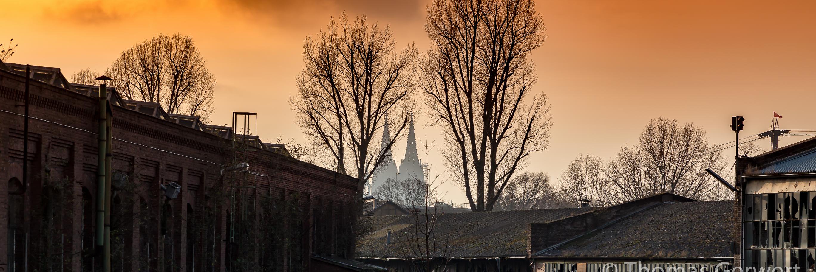 ThomasGerwert's profile banner image