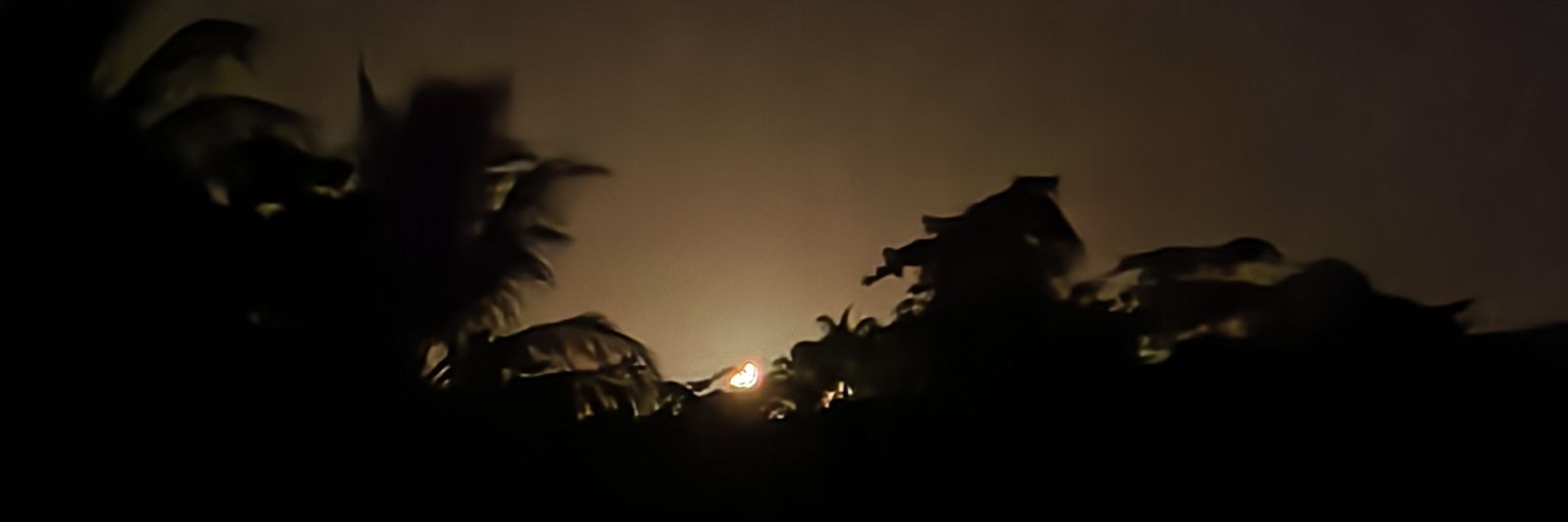 repotason's profile banner image