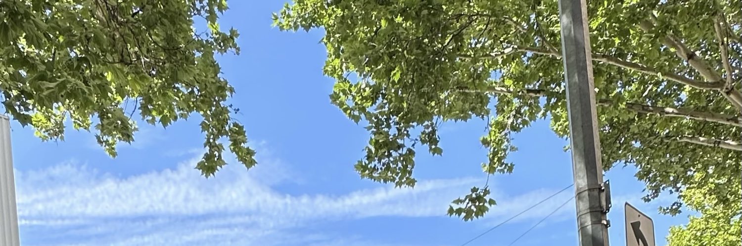 IN THE SUN 🌓 banner