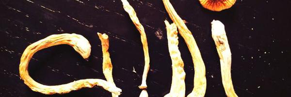 IceG24 Profile Banner